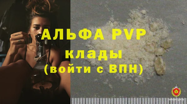 индика Верея