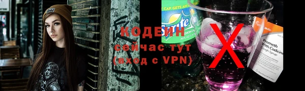 индика Верея