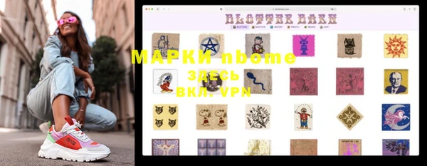 индика Верея