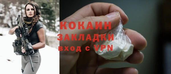 индика Верея