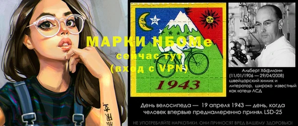 индика Верея