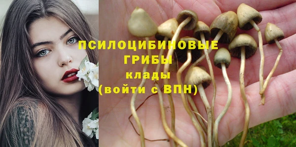 гидропоника Верхний Тагил