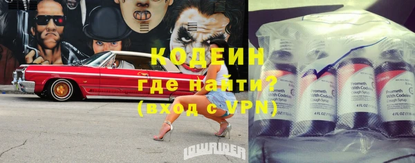индика Верея