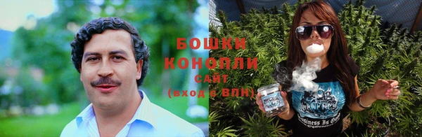 индика Верея