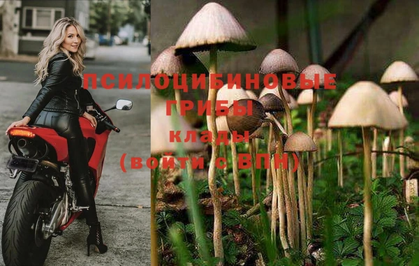 индика Верея
