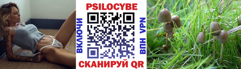 blacksprut онион  Волжский  Галлюциногенные грибы Psilocybine cubensis 